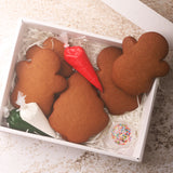 Gingerbread Decorating Kit