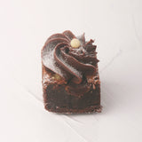Walnut Chocolate Brownie