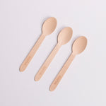 Eco-friendly Biodegradable Spoons (10 pcs)