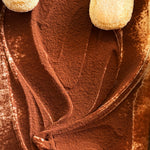 Tiramisu Gelato Tub